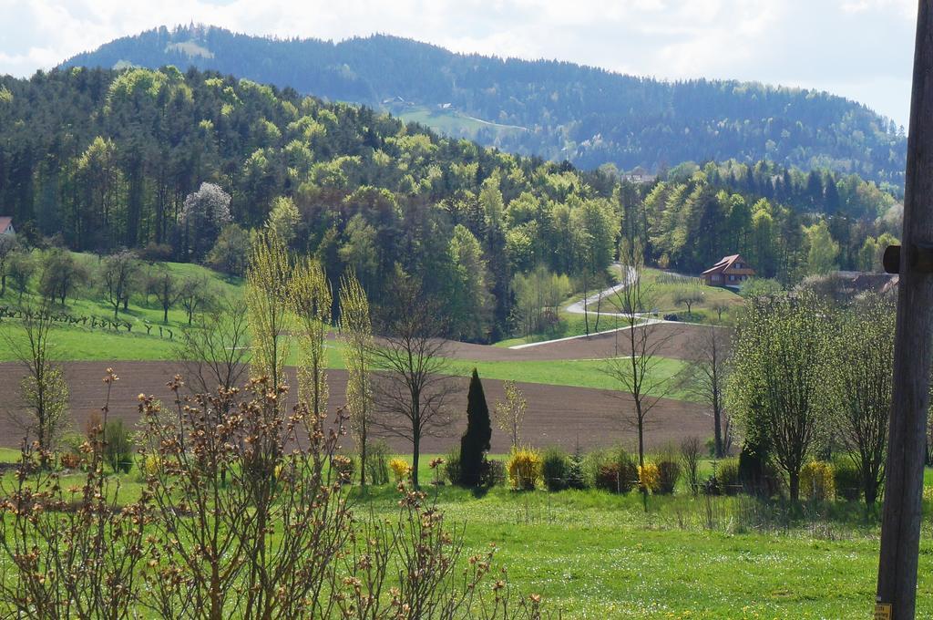 Pension Wolkenreich Oberhaag Екстериор снимка