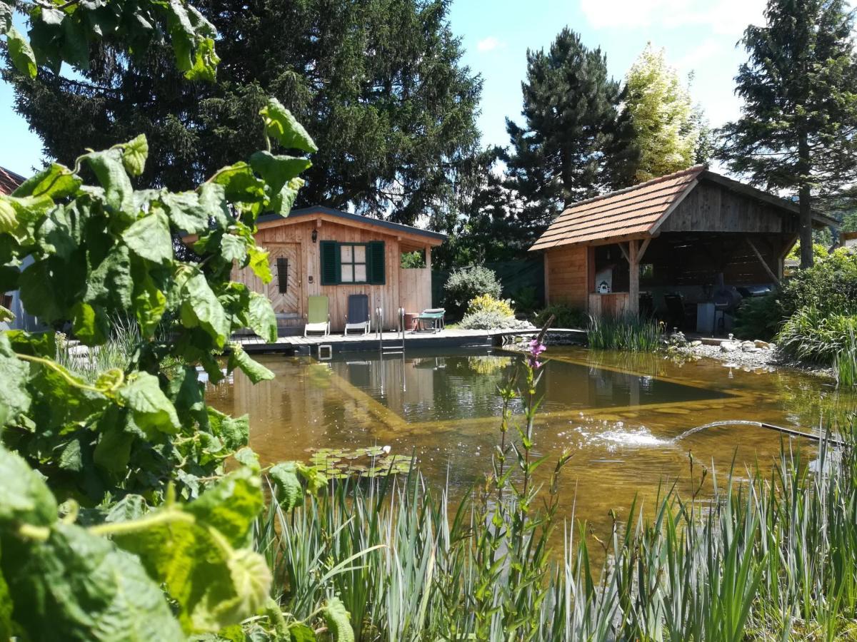 Pension Wolkenreich Oberhaag Екстериор снимка